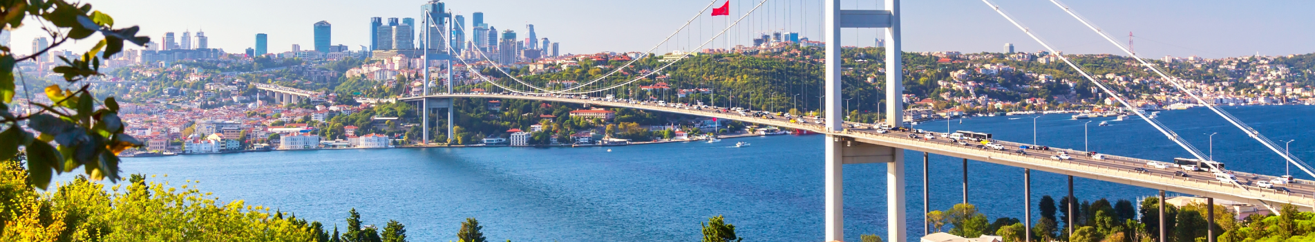 Untitled Design 2025 01 28T170744 361